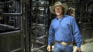 Shorty Gorham, a member of the Professional Bull Riders Dickies DuraBullfighters